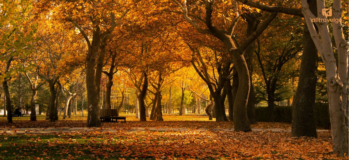 fall foliage forecast usa
